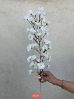 شاخه شکوفه تک بازو