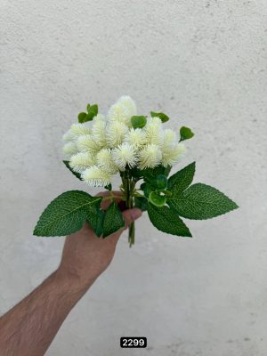 دسته قاصدک وارداتی 7شاخه ای