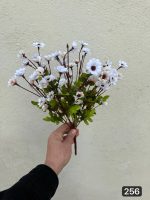 بوته مینا ۱۱ بازو