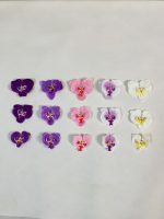 سرگل ارکیده پارچه‌ای - سایز 1 (پک 100تایی )