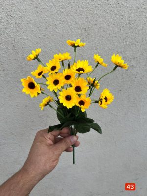 بوته آفتاب گردان ریز