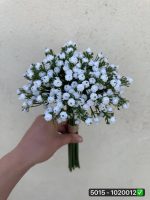 دسته عروس سفید