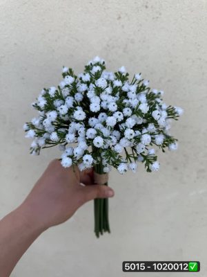 دسته عروس سفید