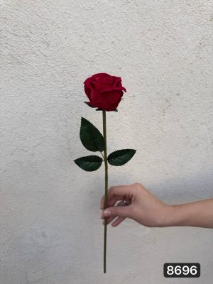 رز وارداتی خارجی