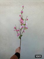 شکوفه ژاپنی ۴ بازو