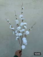 شاخه شکوفه حلزونی