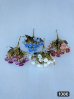 بوته رز مینیاتوری شکوفه دار (پک 12تایی )