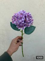 شاخه هورتانسیا ( پک 12تایی )