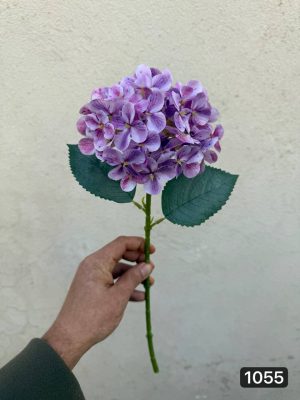 شاخه هورتانسیا ( پک 12تایی )