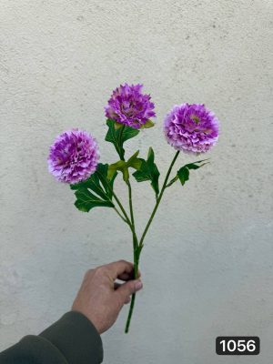 شاخه میخک ۳ گل (پک 12تایی )