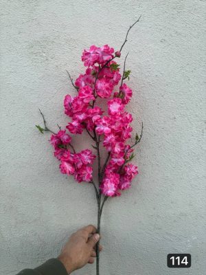 شاخه شکوفه هلو