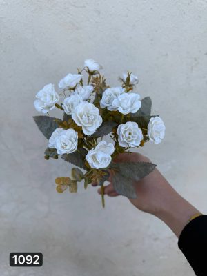 بوته رز مینیاتوری ۵ بازو