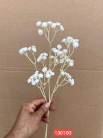 شاخه ژیپسوفیلا لمسی