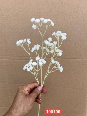 شاخه ژیپسوفیلا لمسی