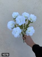 بوته میخک ۷ بازو