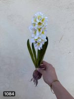 سنبل پیاز دار (پک 6تایی)