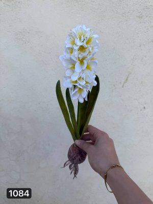 سنبل پیاز دار (پک 6تایی)