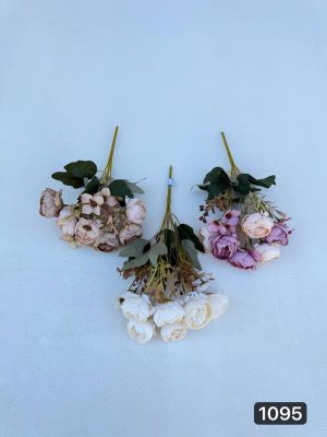 بوته پیونی ۵ بازو (پک 12تایی )