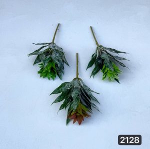 بوته آناناسی (پک 12تایی )