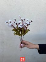 بوته مینا پفکی خارجی (پک 12 تایی)