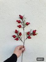 شاخه انار مینیاتوری