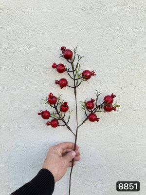 شاخه انار مینیاتوری