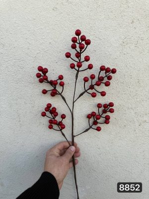 شاخه زالزالک ۵ بازو