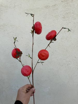 شاخه خرمالو