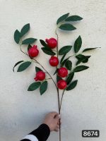 شاخه انار درشت