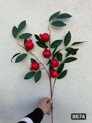 شاخه انار درشت