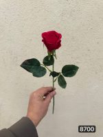 شاخه رز لمسی