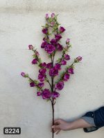 شاخه رز و غنچه مینیاتوری