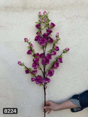 شاخه رز و غنچه مینیاتوری