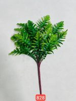 بوته کاجی وارداتی