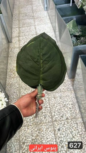 برگ پتوس ایرانی ( بسته 20 تایی )