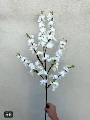 شاخه شکوفه به