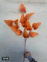 شاخه برگ گردو پاییزه