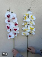 شاخه ارکیده ۹ گل لمسی