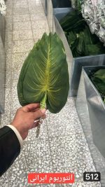 برگ آنتوریوم ایرانی ( بسته 20 تایی )