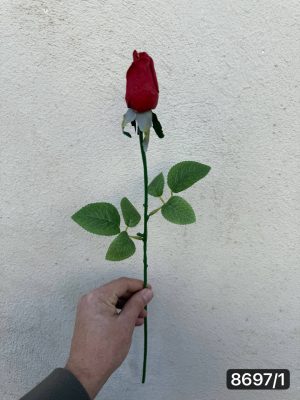 رز غنچه لمسی