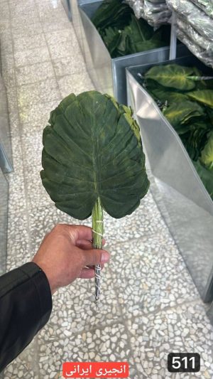 برگ انجیری ایرانی ( بسته 20 تایی )