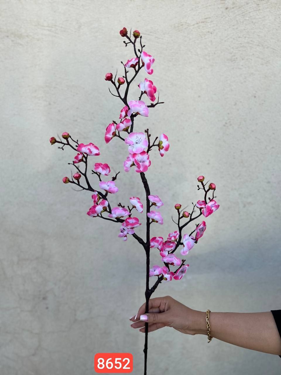 شکوفه به ژاپنی - Image 2