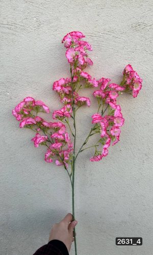 شاخه شکوفه رنگی