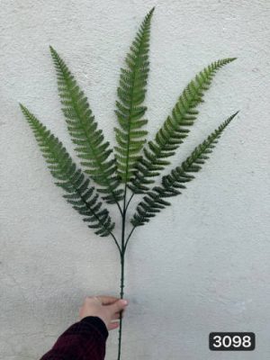 سیکاس 5 بازو