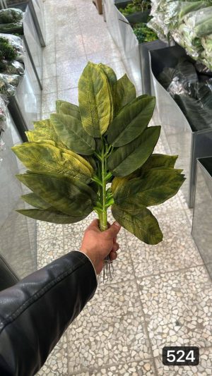 برگ گردویی ایرانی ( بسته 20 تایی )