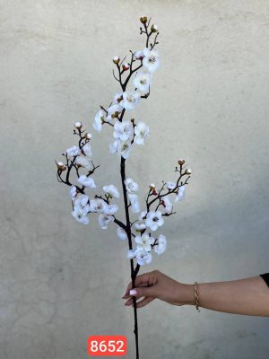 شکوفه به ژاپنی