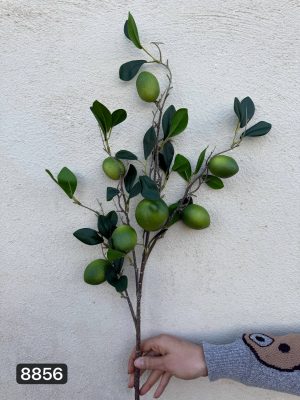 شاخه لیمو سبز لمسی وارداتی