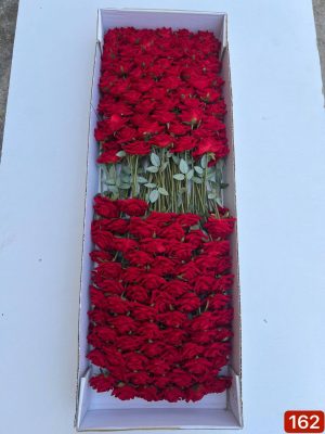 شاخه رز سایز ۲ (جعبه 144 تایی )