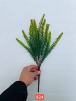 بوته لوندر کاجی ( پک 12تایی)