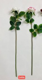 شاخه‌ رز باز مخمل خارجی